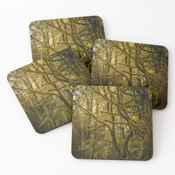 Item preview, Enchanting Green In Ancient Tasmanian Wilderness designed and sold by vdlartworks.