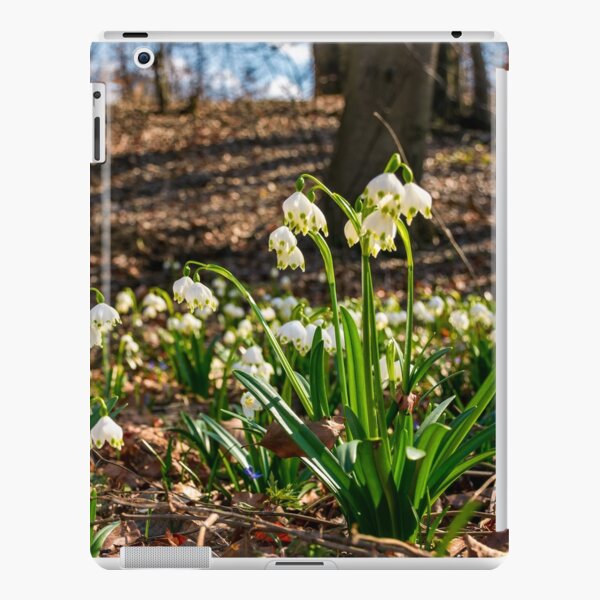 Beautiful blooming of White spring Snowflake iPad Snap Case