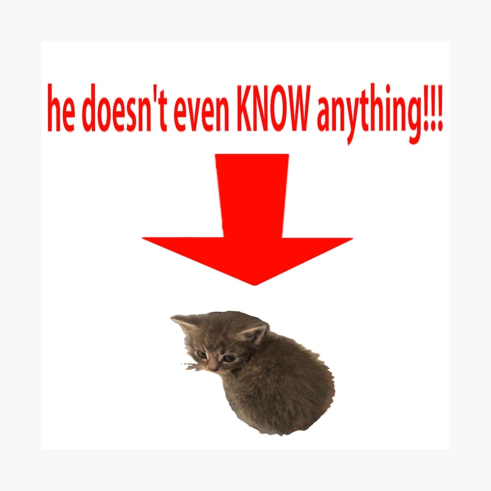 dumb cat doesnt even know anything!!!