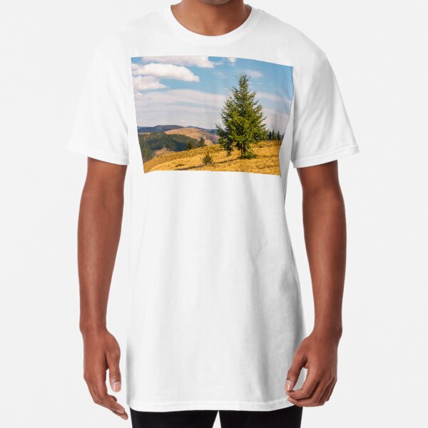 spruce forest in springtime landscape Long T-Shirt