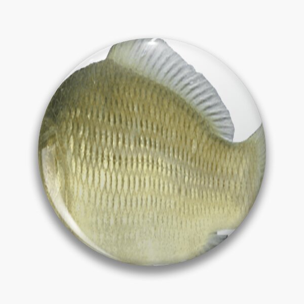 Item preview, Serious brown carp with long fin arched back designed and sold by Hope-Coll19.