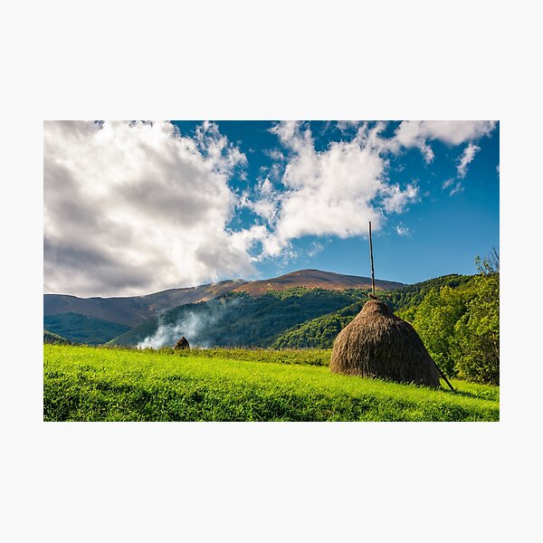 haystacks in a field near the forest and mountain Photographic Print