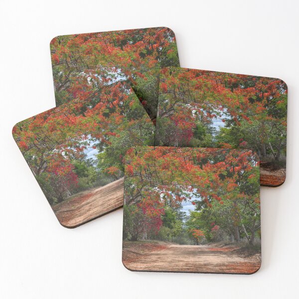 Item preview, Royal Poinciana Trees, Outback Road, Queensland Australia designed and sold by Kate Powick.