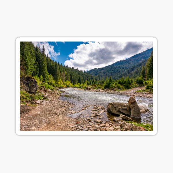 forest river with stones on shores Sticker
