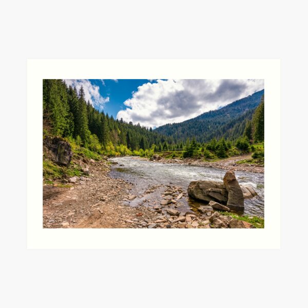 forest river with stones on shores Art Print