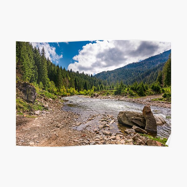 forest river with stones on shores Poster