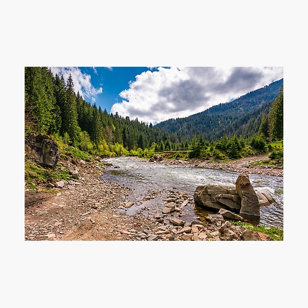 forest river with stones on shores Photographic Print