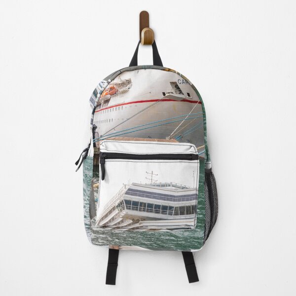 Item preview, Carnival Spendor Sydney and Sydney Opera House designed and sold by Martin Berry Photography.