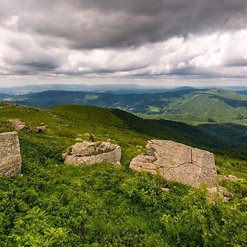 Artwork thumbnail, white boulders on the hillside by mike-pellinni