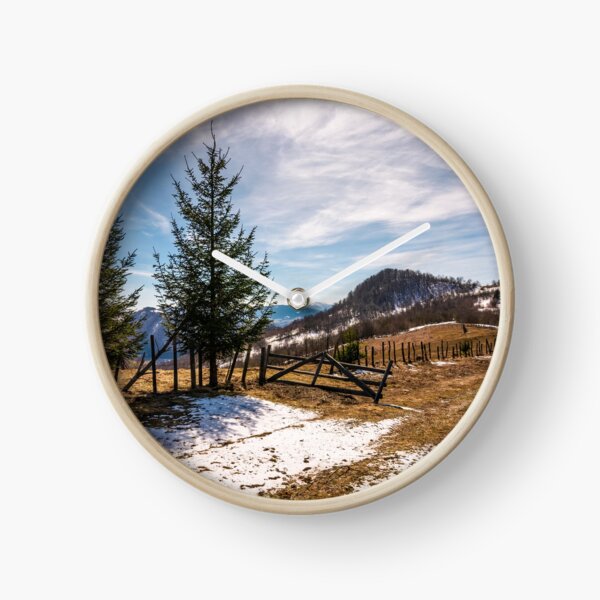 spruce trees near the fence on hillside Clock