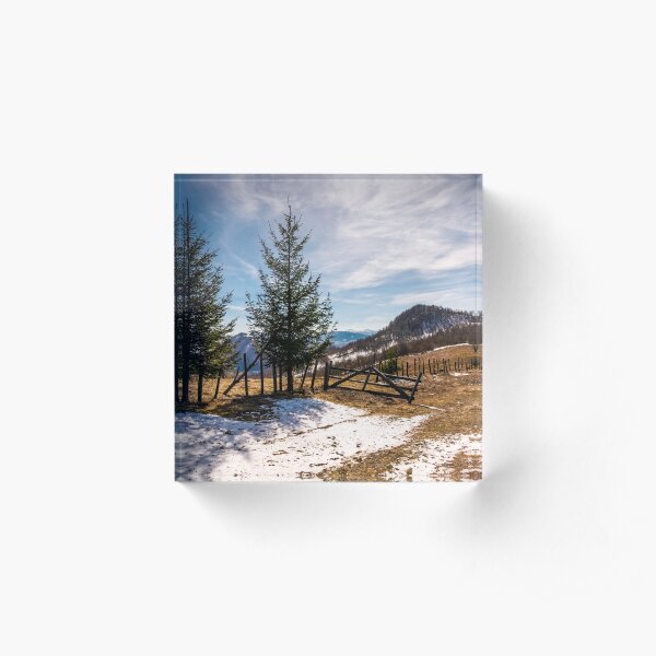 spruce trees near the fence on hillside Acrylic Block