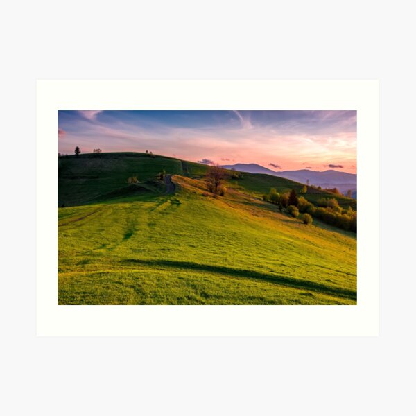 grassy pasture on hillside at sunset Art Print