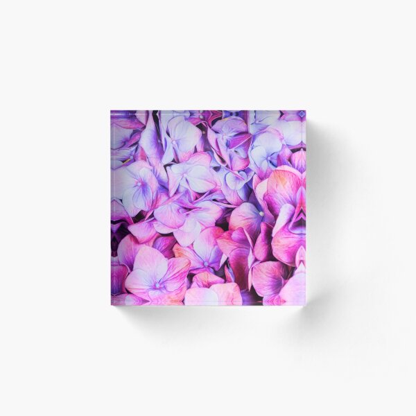 Natures Interpretation Of Butterflies Acrylic Block