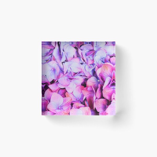 Natures Interpretation Of Butterflies Acrylic Block