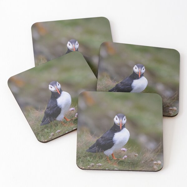 Item preview, a puffin in Shetlands Scotlands designed and sold by Dev  Kiran.