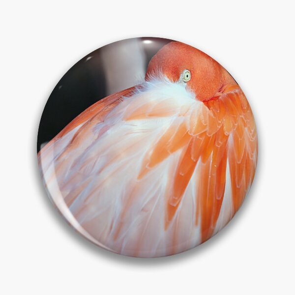 Item preview, Close-Up of the Flamingo designed and sold by NatureSouvenirs.