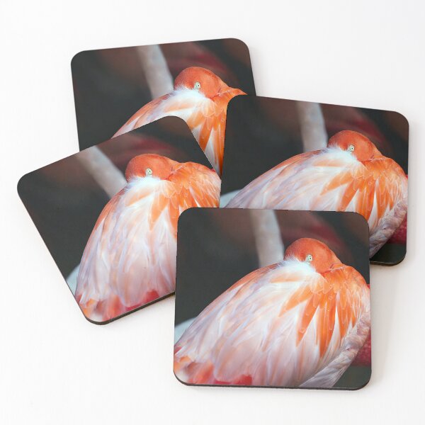 Item preview, Close-Up of the Flamingo designed and sold by NatureSouvenirs.