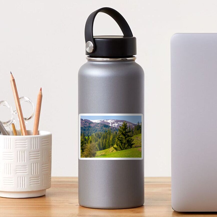spruce trees on grassy hillside Sticker