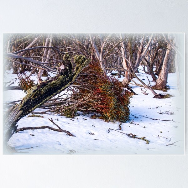 Item preview, Watercolour forest designed and sold by indiafrankk.
