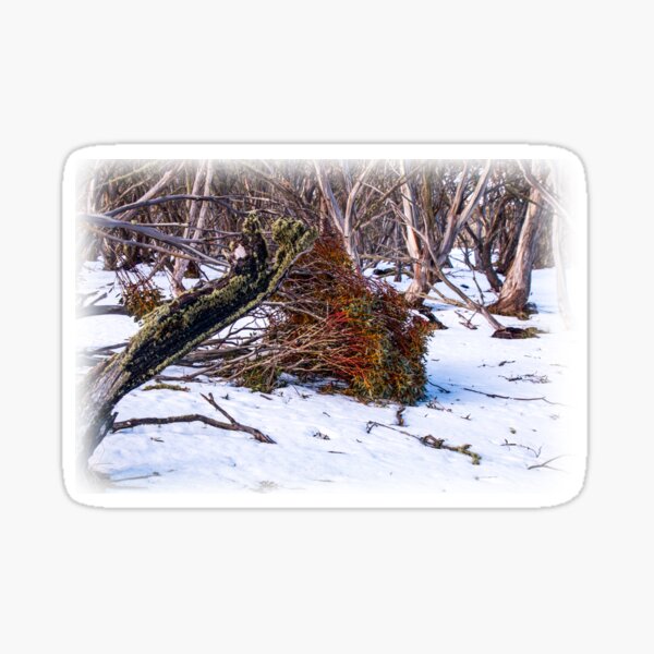 Item preview, Watercolour forest designed and sold by indiafrankk.