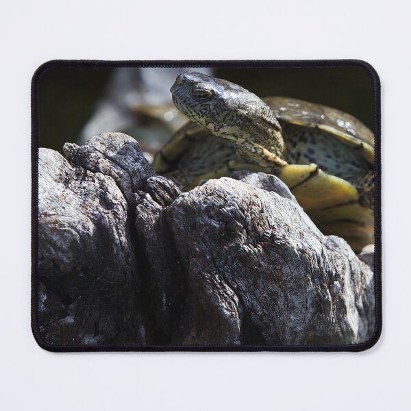 Item preview, Turtle's Serene Vigil on the Stone designed and sold by NatureSouvenirs.