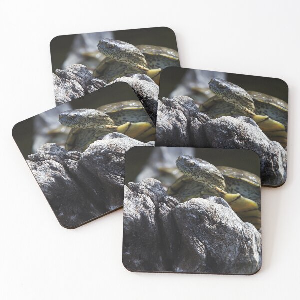 Item preview, Turtle's Serene Vigil on the Stone designed and sold by NatureSouvenirs.
