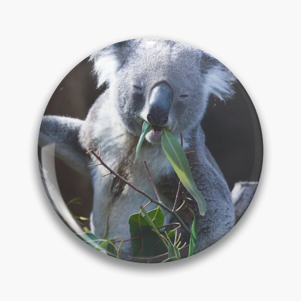 Item preview, Koala Indulging in Leafy Delights designed and sold by NatureSouvenirs.