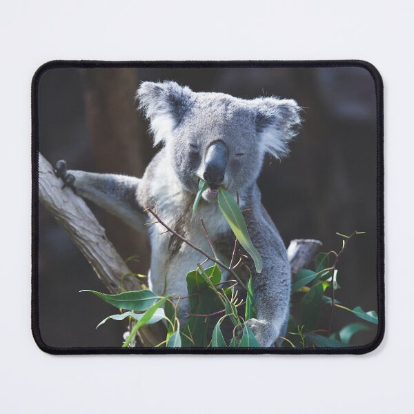 Item preview, Koala Indulging in Leafy Delights designed and sold by NatureSouvenirs.