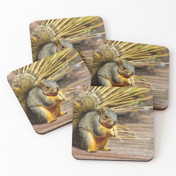 Item preview, Fox Squirrel Enjoying a Feast designed and sold by NatureSouvenirs.