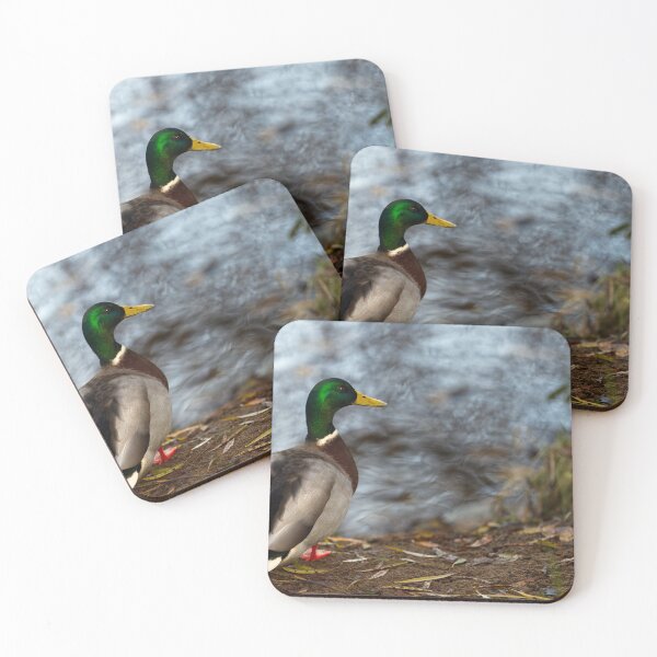 Item preview, Mallard Duck by the Lakeside designed and sold by NatureSouvenirs.