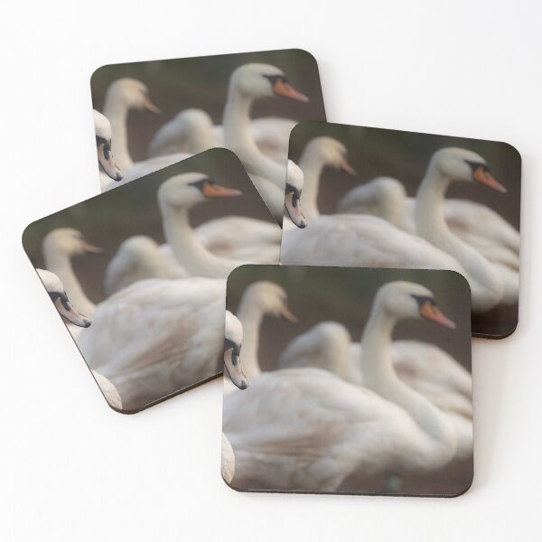Item preview, Close-Up of a Swan Amidst Tranquil Companions designed and sold by NatureSouvenirs.