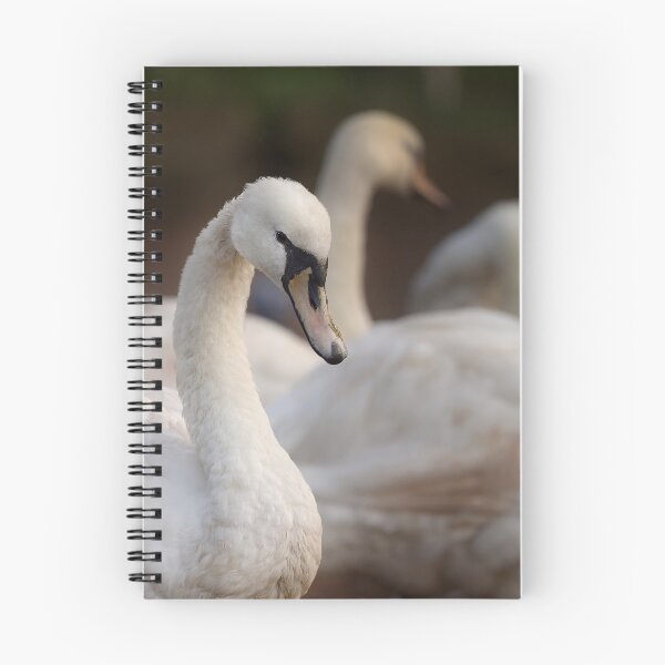 Item preview, Close-Up of a Swan Amidst Tranquil Companions designed and sold by NatureSouvenirs.