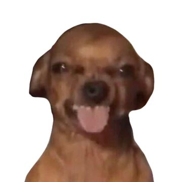 Brown Dog Funny Tik Tok Dog Dog With Tongue Sticking Out Magnet