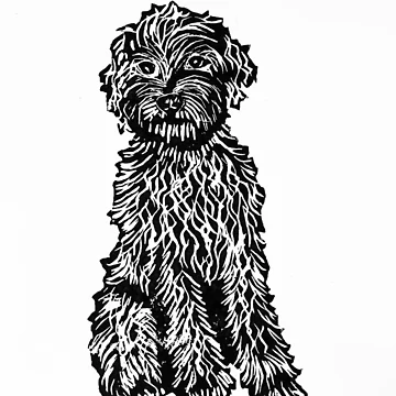 Artwork thumbnail, Cockapoo/Labradoodle by PrintsByJane