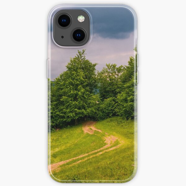 dirt road leads in to the forest on overcast day iPhone Soft Case