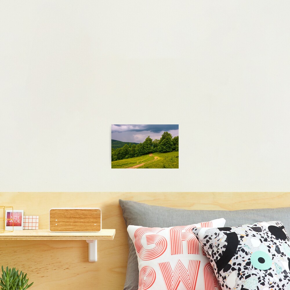 Item preview, Photographic Print designed and sold by mike-pellinni.