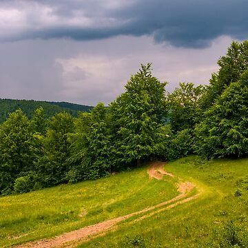 Artwork thumbnail, dirt road leads in to the forest on overcast day by mike-pellinni