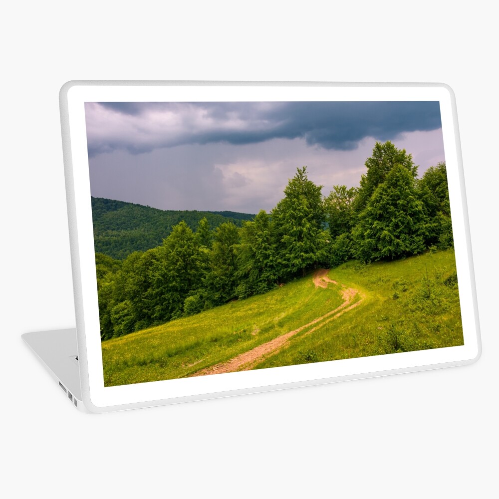 Item preview, Laptop Skin designed and sold by mike-pellinni.