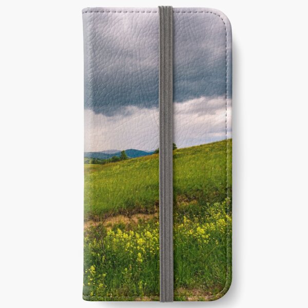 grassy pasture near the forest in stormy weather iPhone Wallet