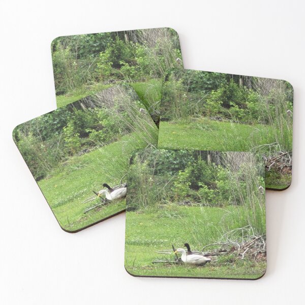 Item preview, Our source of safety designed and sold by themexicanduck.