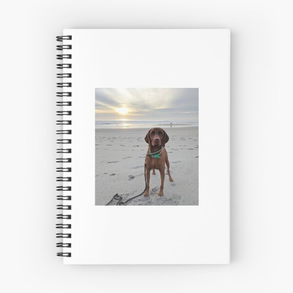 Item preview, Beach Bum designed and sold by Wigglebutt.