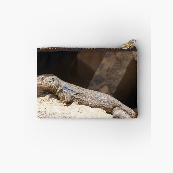 Item preview, Gallotia Galloti (Male Tenerife Lizard) designed and sold by Nicole Gath.