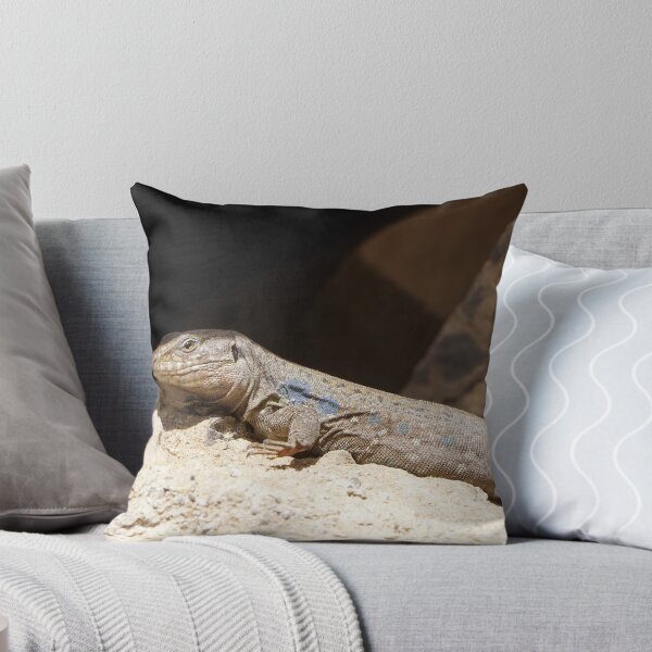 Item preview, Gallotia Galloti (Male Tenerife Lizard) designed and sold by Nicole Gath.