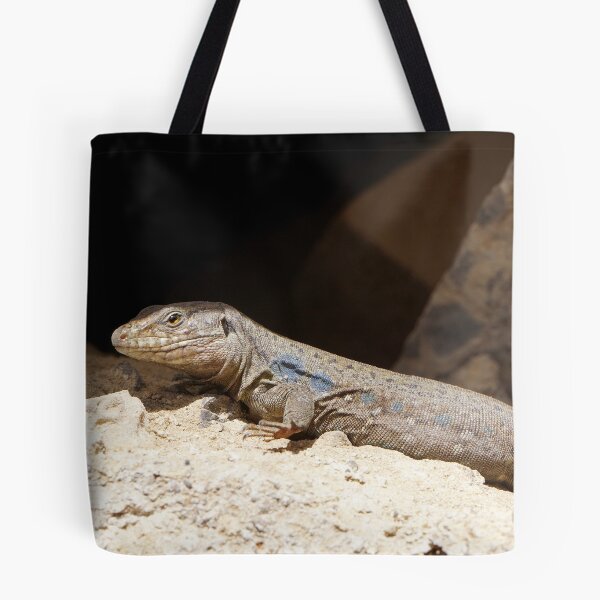 Item preview, Gallotia Galloti (Male Tenerife Lizard) designed and sold by Nicole Gath.