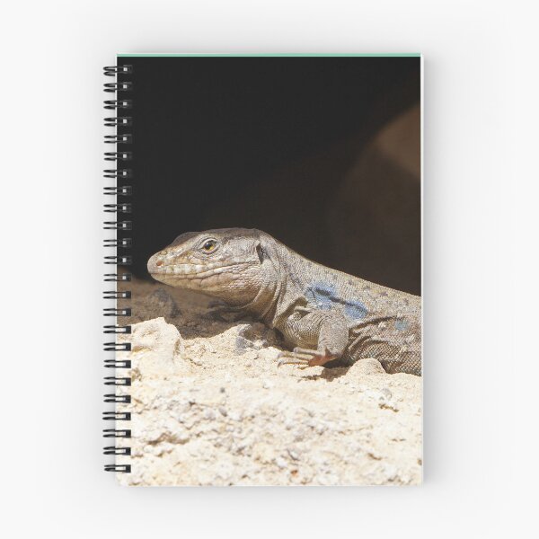 Item preview, Gallotia Galloti (Male Tenerife Lizard) designed and sold by Nicole Gath.