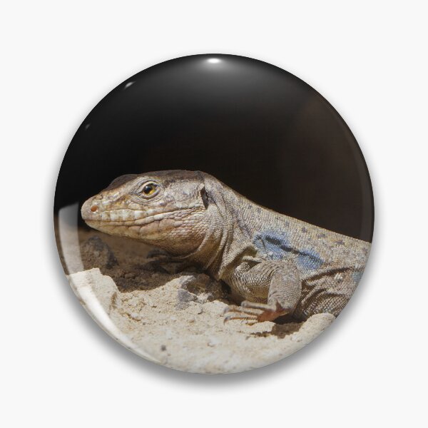 Item preview, Gallotia Galloti (Male Tenerife Lizard) designed and sold by Nicole Gath.