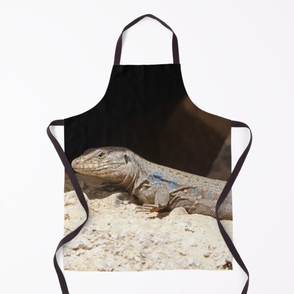 Item preview, Gallotia Galloti (Male Tenerife Lizard) designed and sold by Nicole Gath.