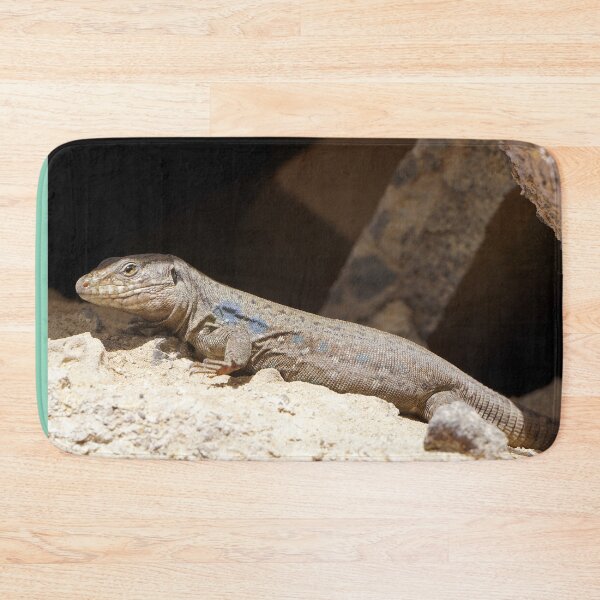 Item preview, Gallotia Galloti (Male Tenerife Lizard) designed and sold by Nicole Gath.