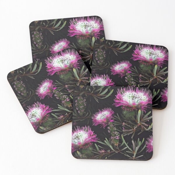 Item preview, Beautiful Native Australian wallpaper for bookcovers and homewares. Melaleuca and blooming flowers, buds and leaves 9 designed and sold by NatTex.