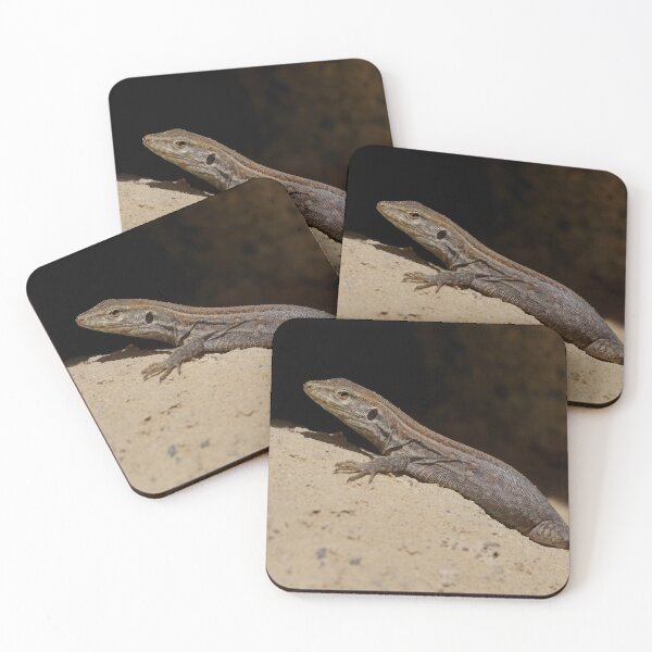 Item preview, Gallotia Galloti (Female Tenerife Lizard) designed and sold by Nicole Gath.